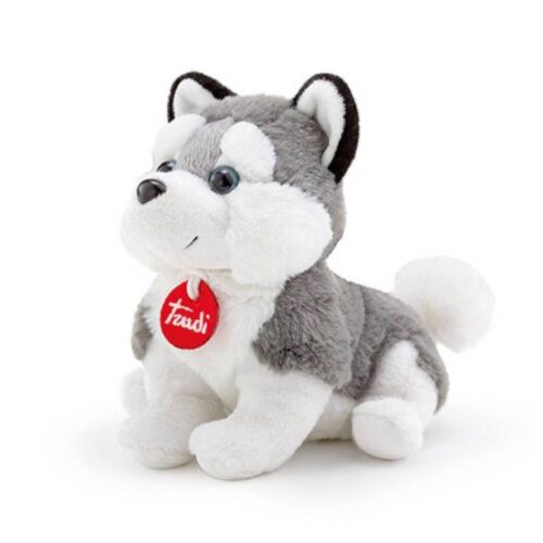 PUPPY HUSKY