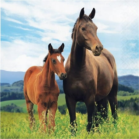 TOVAGLIOLI LITTLE PONY