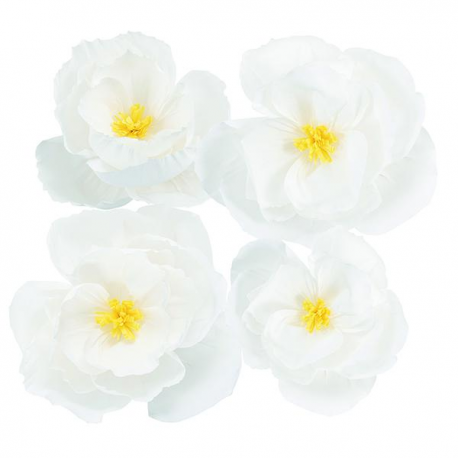 TULIPANI CARTA BIANCHI GIVI 25/35