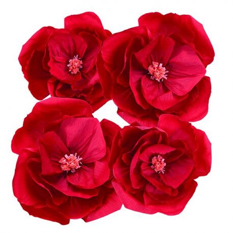 FIORI CARTA ROSSI GIVI 25/35