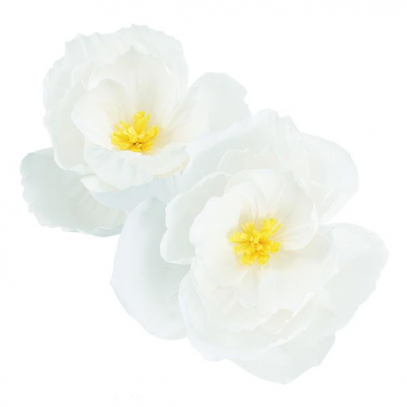 FIORI CARTA BIANCO GIVI 40/50