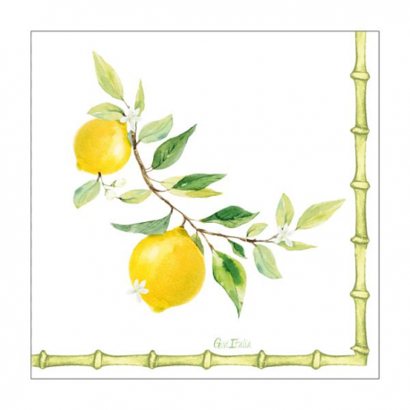 GIVI TOVAGLIOLI LEMON 33X33