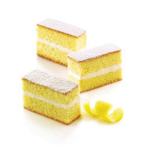 STAMPO SILICONE MINI CAKE N 12 X79X29H30