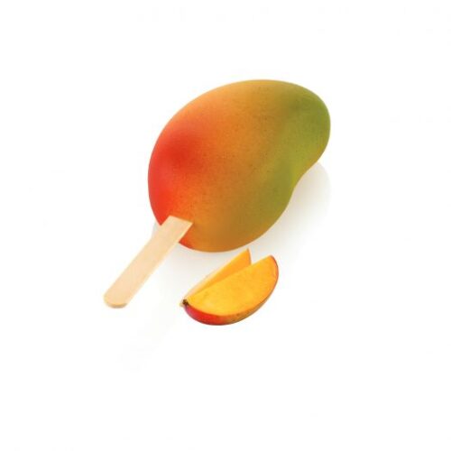 STAMPO INSILICONE MANGO GRANDE